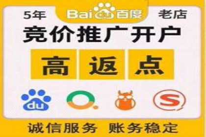 SEM专员的角色与成功案例解析